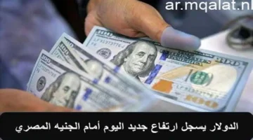 تحركات البنوك المصرية.. سعر الدولار أمام الجنيه في الأهلي وCIB والإسكندرية